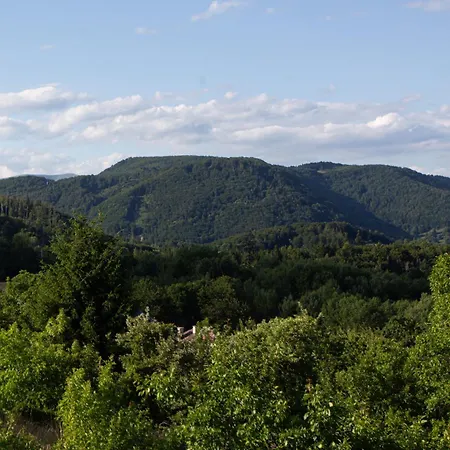 Levender 2 Lejlighed Králiky